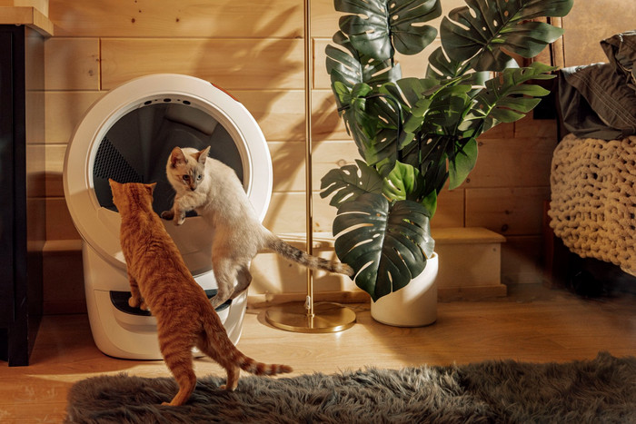 Whisker Automatische kattenbak Litter-Robot 4 Wit product in gebruik
