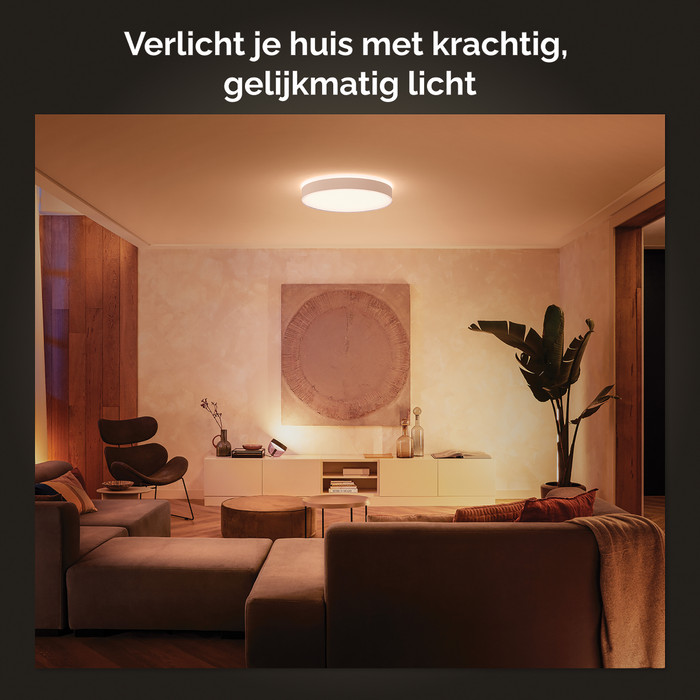 Philips Hue Enrave L Ceiling Lamp White Ambiance White null