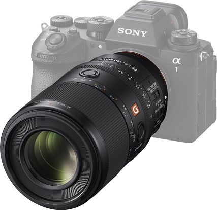 Sony FE 100mm f/2.8 Macro GM OSS product in gebruik