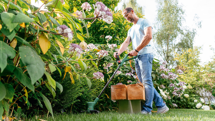 Bosch Easygrasscut 23 product in gebruik