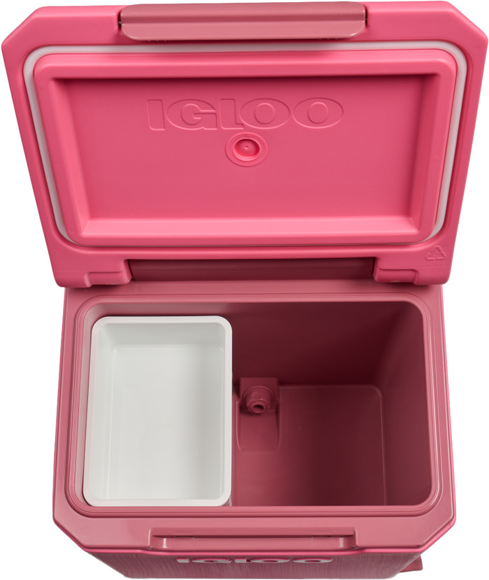 Igloo Tag Along Too Spinner 360 Pink inside