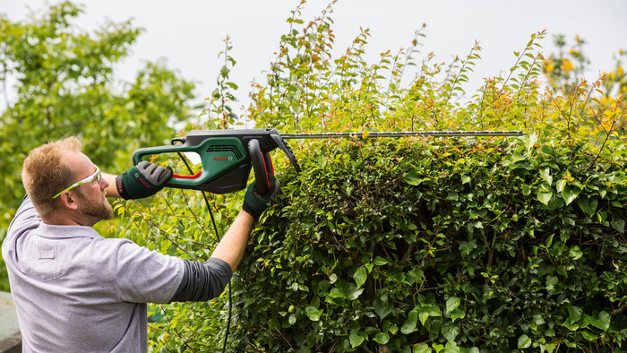 Bosch Advanced hedgecut 70 product in gebruik