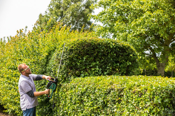 Bosch Advanced hedgecut 70 product in gebruik
