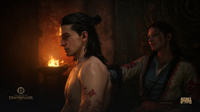 The Blood of the Dawnwalker Collector's Edition PS5 visual leverancier