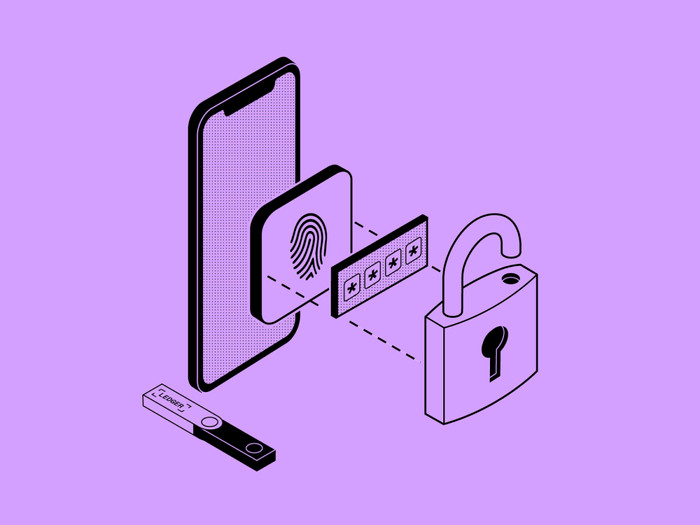 Ledger Nano S Plus Matte BLack visual supplier