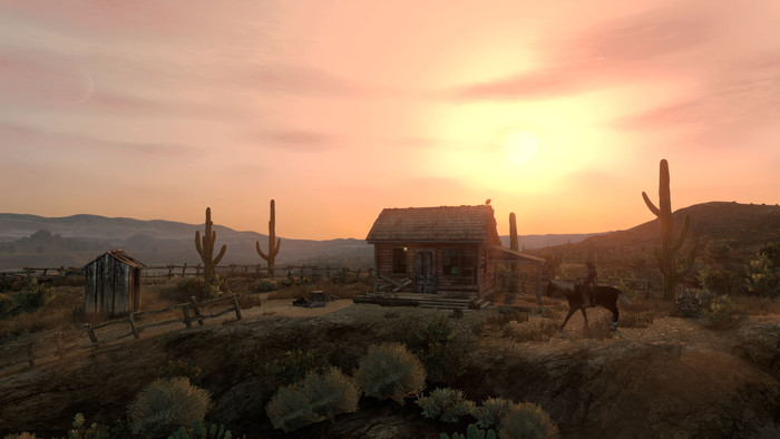 Red Dead Redemption PS5 product in gebruik