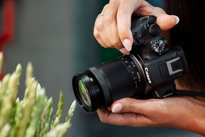 Canon EOS R10 + RF-S 18-150mm f/3.5-6.3 IS STM visual supplier