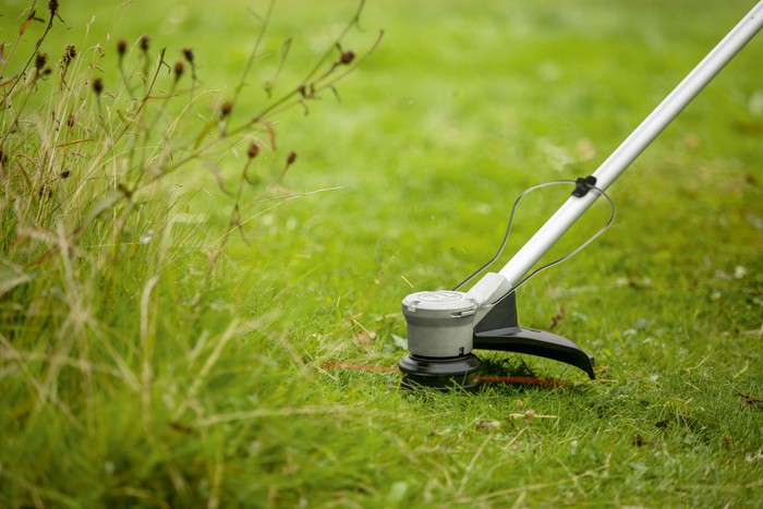 Bosch AdvancedGrassCut 36V-33 (zonder accu) product in gebruik