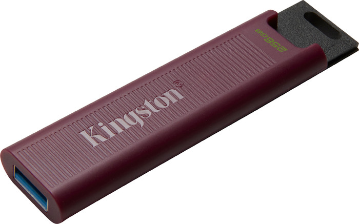 Kingston DataTraveler Max Typ A 256 GB null