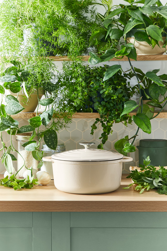 Tefal LOV Dutch Oven 25cm Beige null