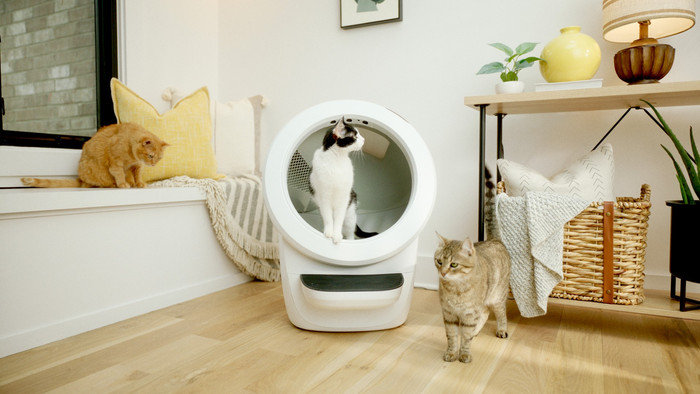 Whisker Automatische kattenbak Litter-Robot 4 Wit product in gebruik