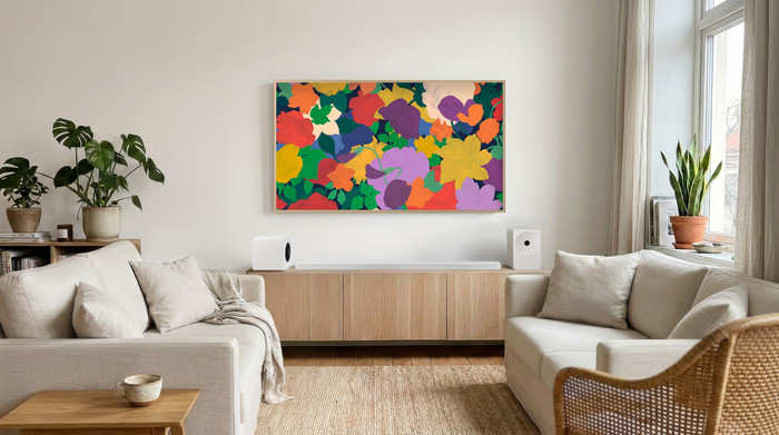 Samsung 65 inches The Frame Pro (2026) + Samsung HW-S60D Black (2024) visual supplier
