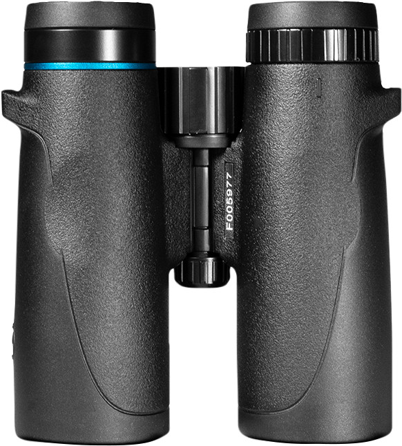 Vogelbescherming Buizerd 8x42 onderkant