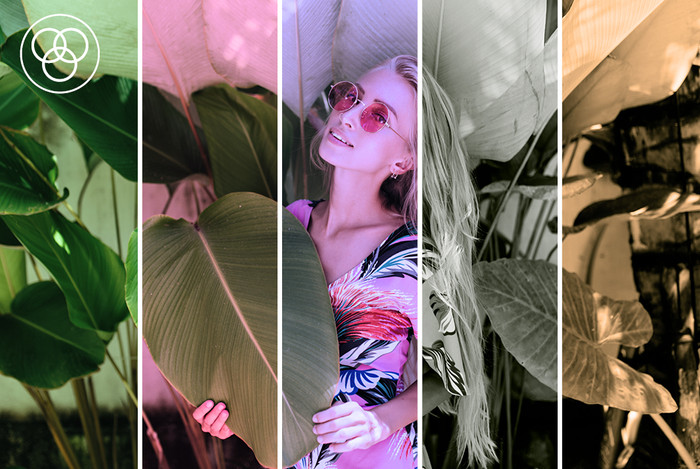 Rollei Mini Digitale Camera Lila visual leverancier