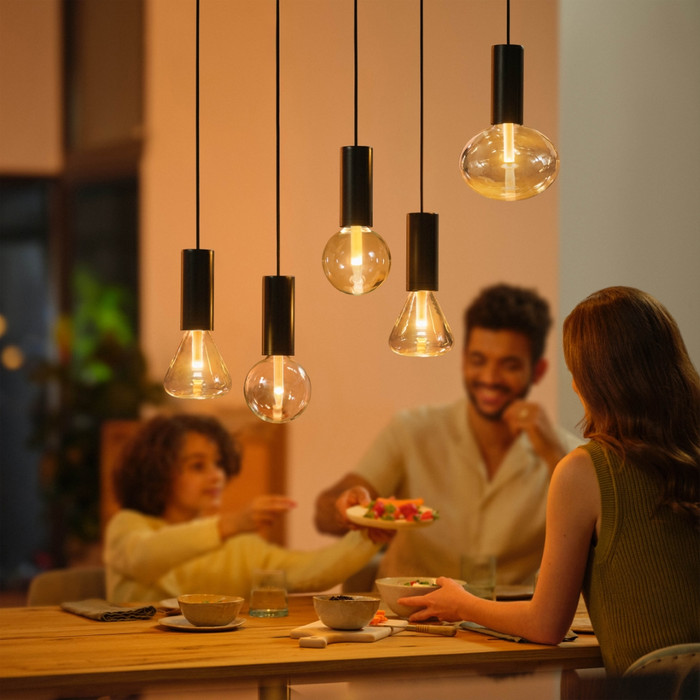 Philips Hue Lightguide koord - zwart - E27 product in gebruik