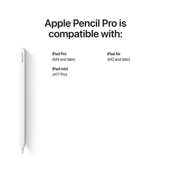 Apple iPad Pro (2024) Nano 13 inches 2TB WiFi + 5G Silver + Apple Pencil Pro visual supplier