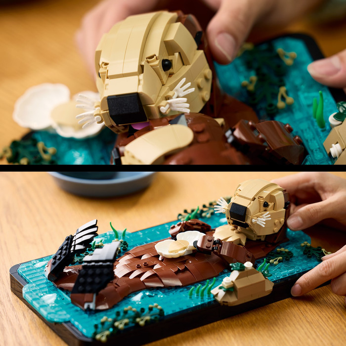 LEGO Ideas Drijvende Otters 21366 product in gebruik