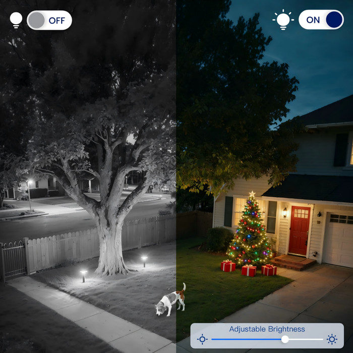 Reolink P334 visual supplier