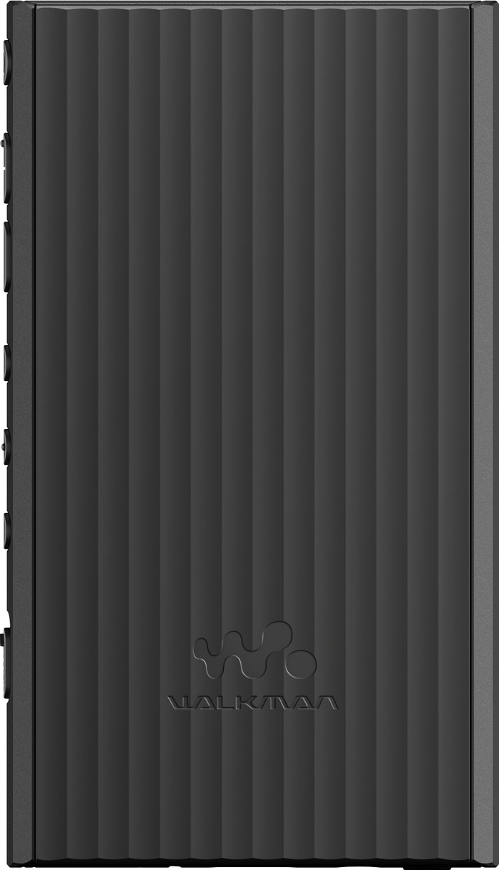 Sony NW-A306 Black null