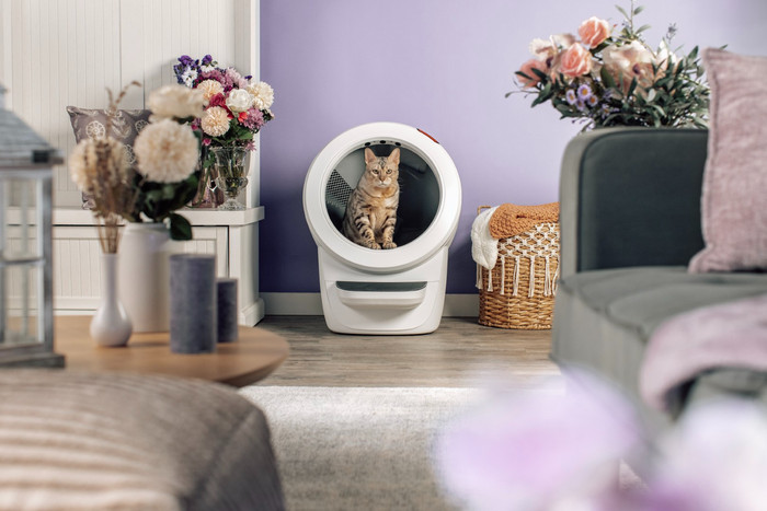 Whisker Automatische kattenbak Litter-Robot 4 Wit product in gebruik