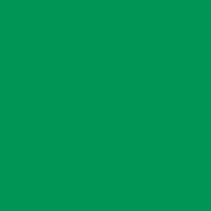 Cricut Smart Vinyl Permanent Joy Matte Grass 14x122cm null