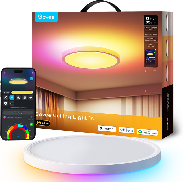 Govee Ceiling Light 12 inch verpakking