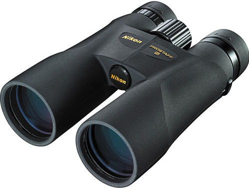 Nikon Prostaff 5 12x50 vorne
