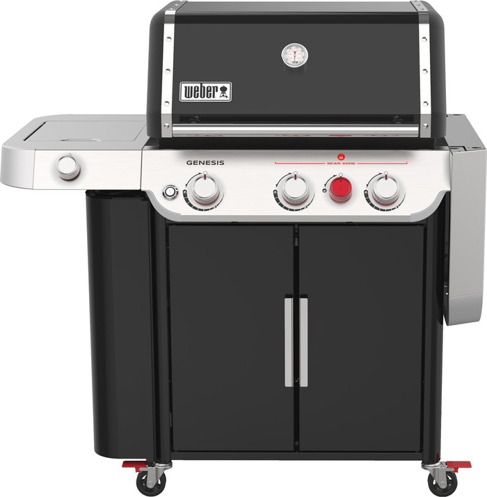 Weber Genesis E-335 detail