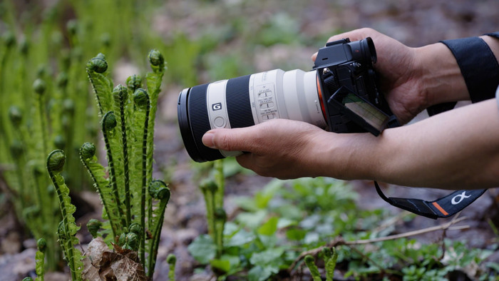 Sony FE 70-200mm f/4 G OSS II visueller lieferant