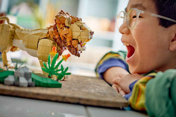 LEGO Creator 3-in-1 Wilde dieren: Majestueuze Leeuw 31386 product in gebruik