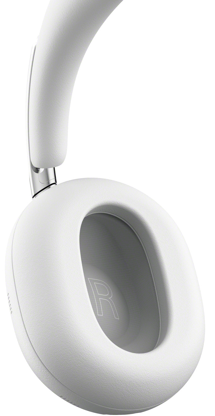 Sony 1000X THE COLLEXION Platinum detail