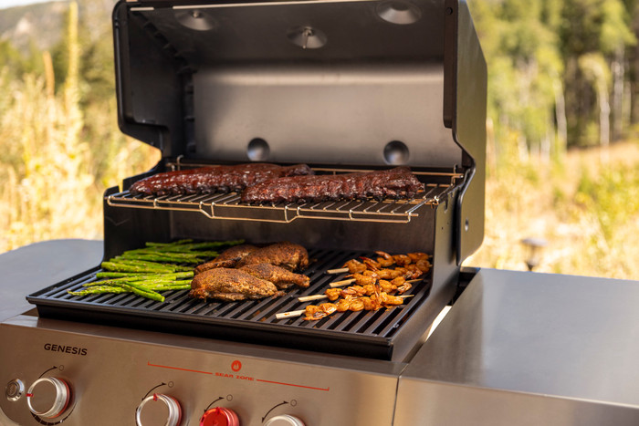 Weber Genesis EPX-335 Black inside