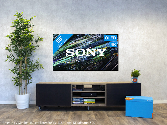 Sony Bravia QD-OLED XR-55A95LAEP (2023) visual Coolblue 1