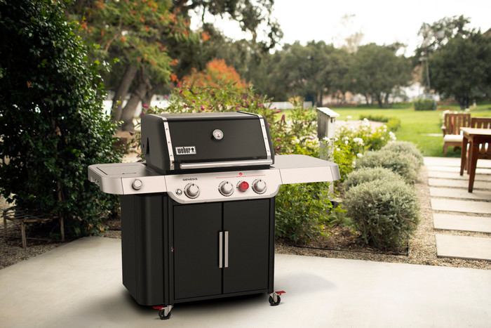 Weber Genesis E-335 null