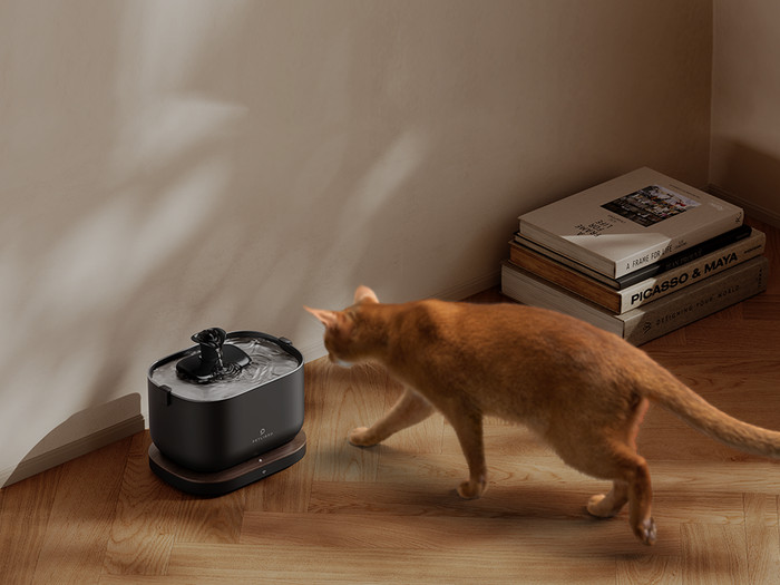 Petlibro Drinkfontein met App PLWF105 Zwart product in gebruik