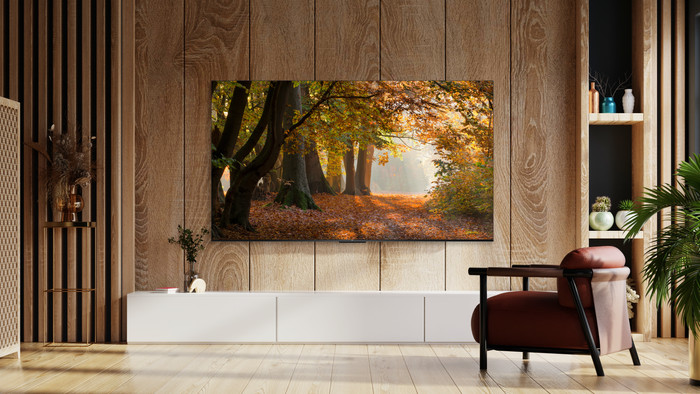 TCL 4K Led 50P61B (2024) visual leverancier