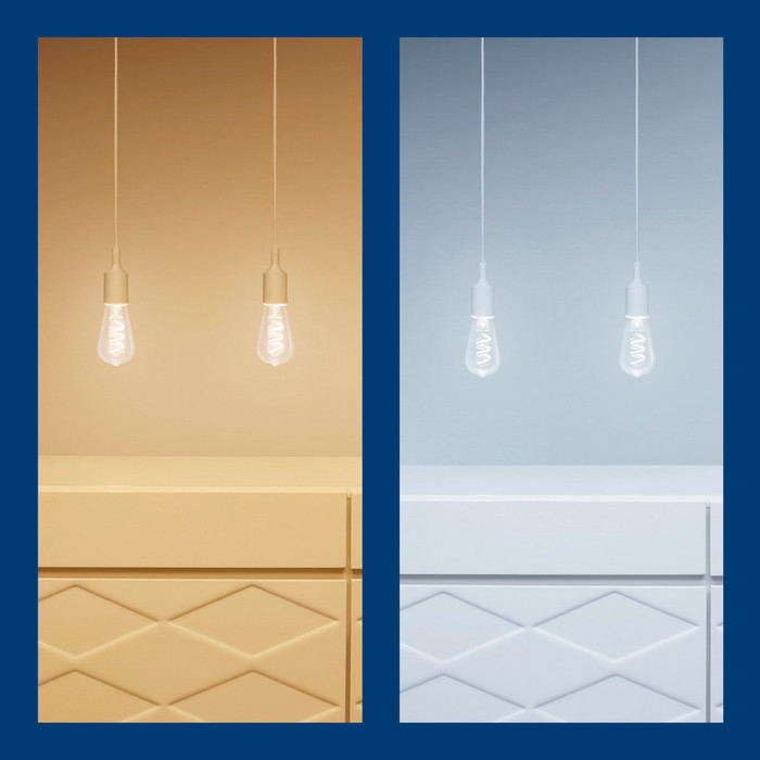 WiZ Edison Filament Light - Colored and White Light - E27 visual supplier