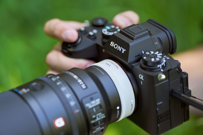 Sony FE 100mm f/2.8 Macro GM OSS product in gebruik