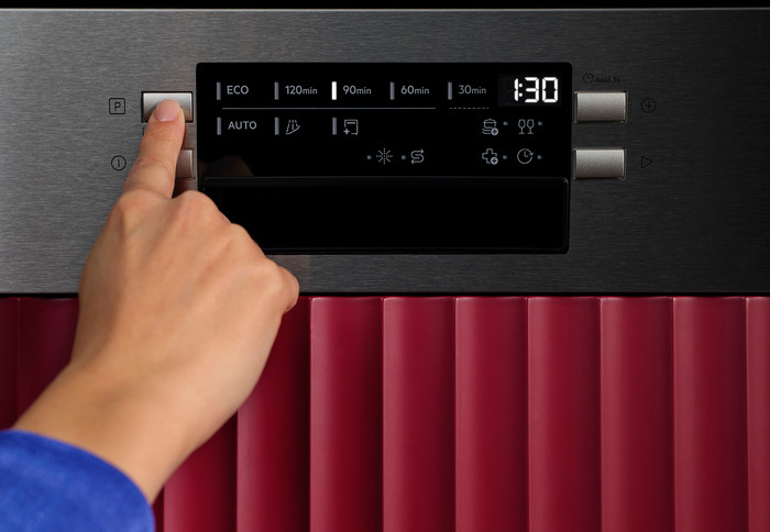 AEG GT6200C2SGM SatelliteClean Pro detail