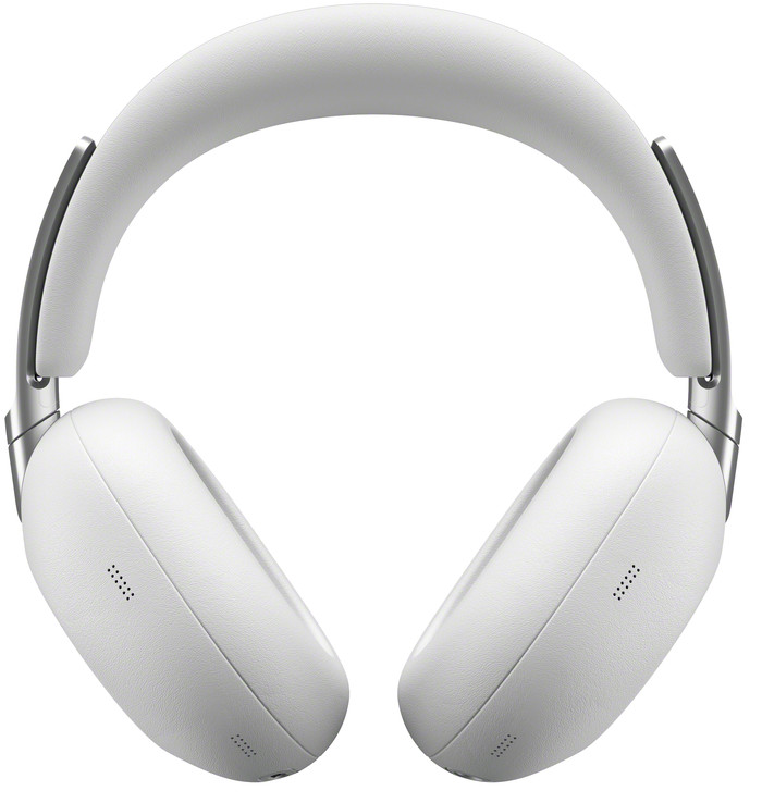 Sony 1000X THE COLLEXION Platinum voorkant