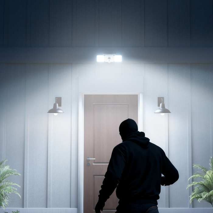 Reolink Floodlight F310B visual supplier