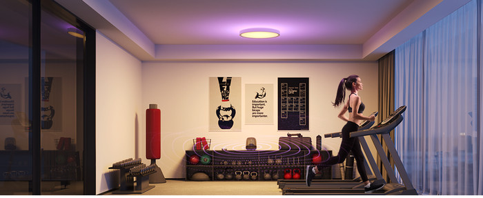 Govee Ceiling Light 12 inch product in gebruik