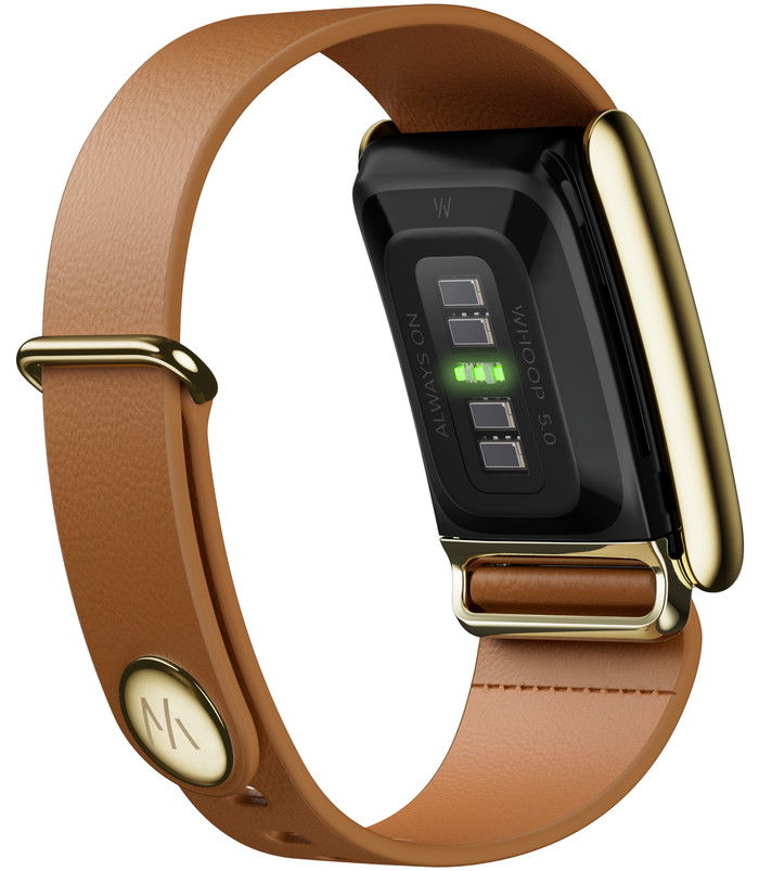 WHOOP 5.0 LeatherLuxe Tapered Band Bruin/Goud S/M product in gebruik