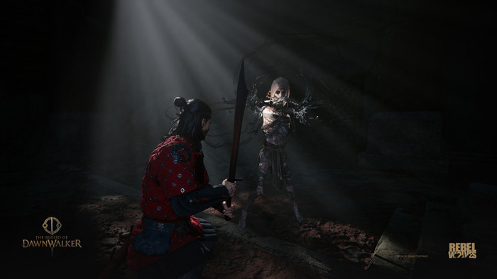 The Blood of the Dawnwalker Collector's Edition PS5 visual leverancier