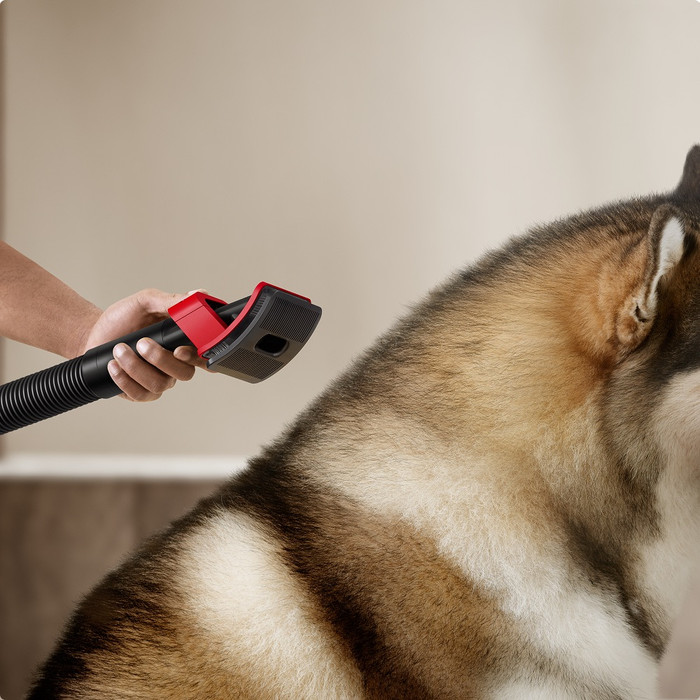 Dyson Pet Grooming Kit V16 product in gebruik