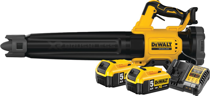 DeWalt 18V XR Axiale 5.0Ah Battery (2x) Starter Kit Main Image