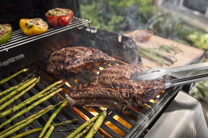 Weber Spirit E-425 Black product in use
