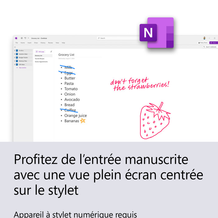 Microsoft Office Home & Business 2024 FR product in use