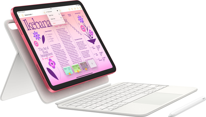 Apple iPad (2022) 10.9 inch 256GB Wifi Zilver accessoire