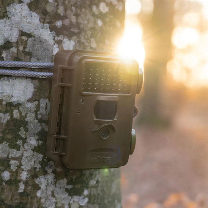 Dörr Wildlife Camera Snapshot Mini 30MP 4K product in use